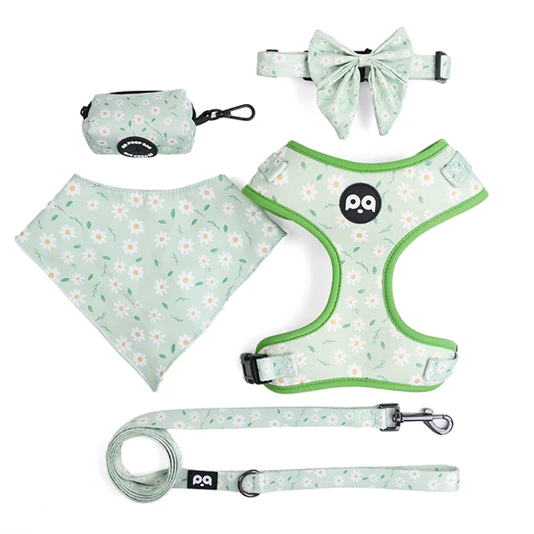 A full set of custom designed dog harness, leash, and collar on a dog.