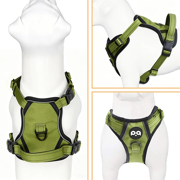 A stylish dog wearing a finished custom designer harness, representing a successful product launch.