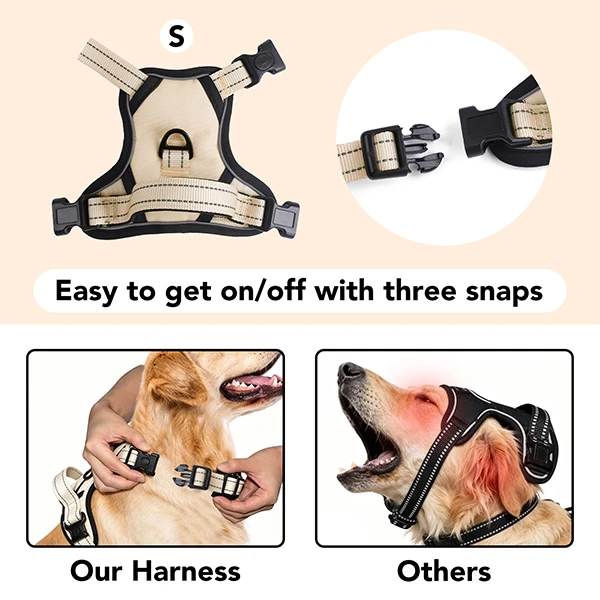 An interactive 3D mockup of a custom designer dog harness on a screen.