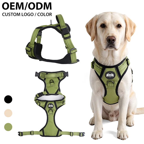 A happy dog on a walk wearing a stylish, vibrant custom designer dog harness.