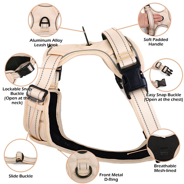A durable, custom-designed dog harness with a vibrant pattern, showing a modern alternative to chain collars.
