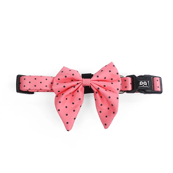 A display of a custom dog harness and accessories.