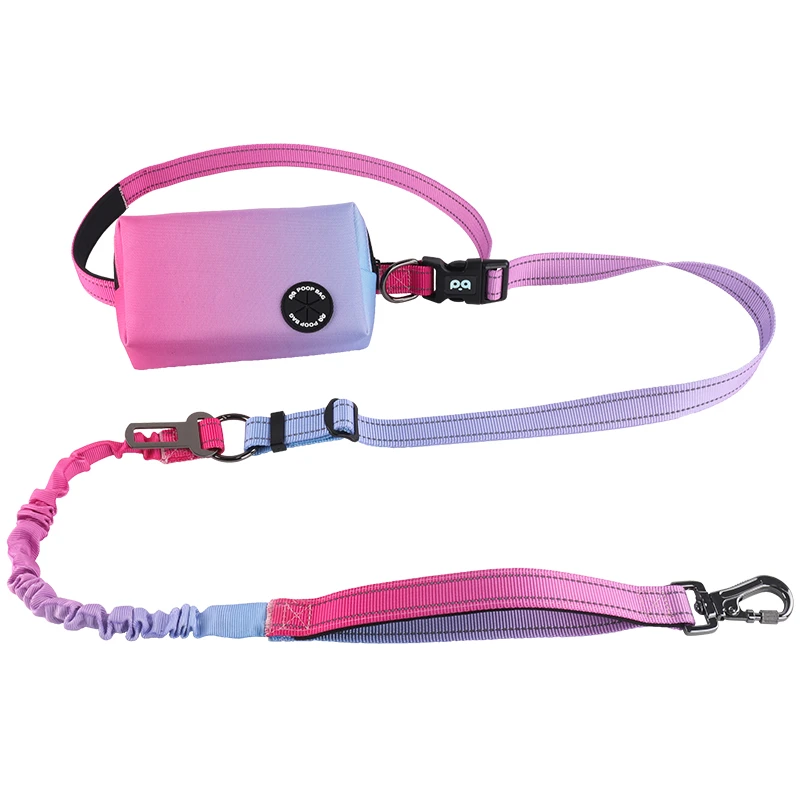 A full set including a custom designer leash and poop bag holder.