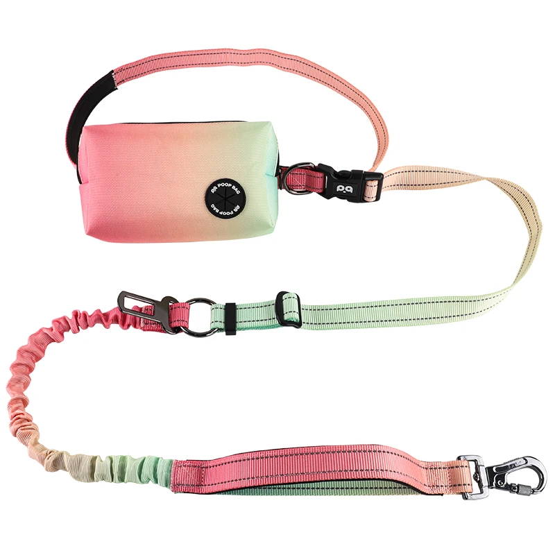 A person holding a leash attached to a dog, with a matching poop bag holder, all in a custom design.