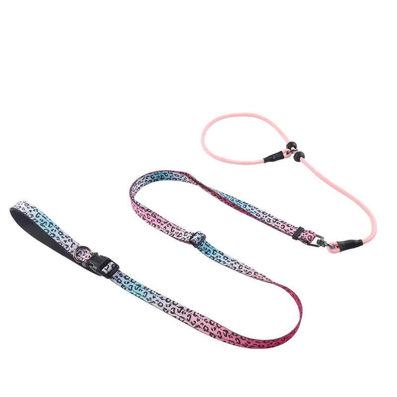 A high-quality custom printed dog leash with durable metal hardware.